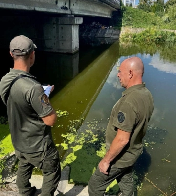 В Рівному в Усті  загинула риба
