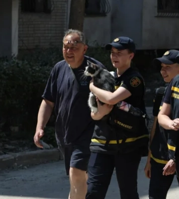 Владелец ждал с раннего утра. Во Львове спасли кошку, которая несколько часов была заблокирована под завалами