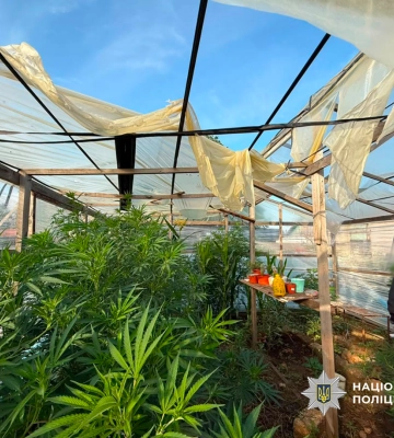На Одещині поліцейські вилучили у затриманого наркоплантатора ще й бойову гранату