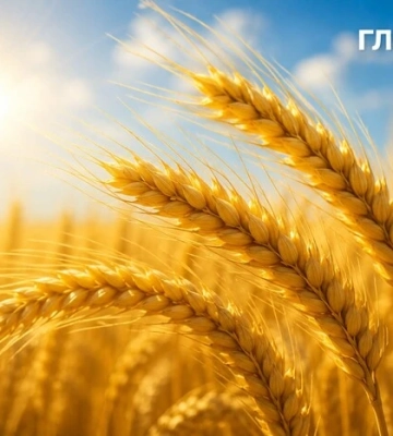 Сонце, літня спека та висока пожежна небезпека: погода в Україні на 31 липня