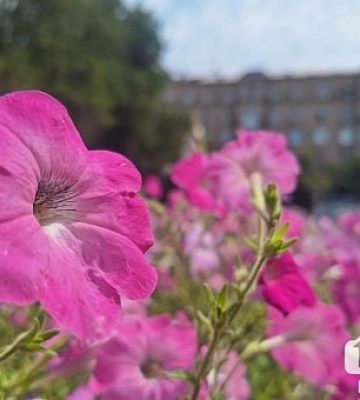Жара усилится: прогноз погоды для Кривого Рога на первые выходные августа