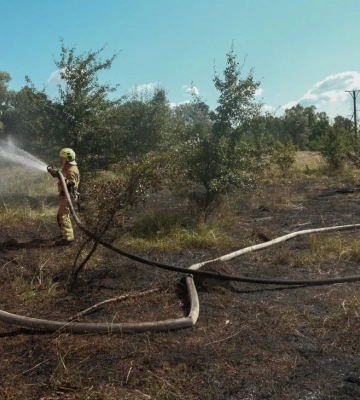 В Голосеевском районе Киева из-за атаки российского БПЛА выгорело 1200 кв. м сухой травы - ГСЧС