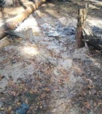 На Хорольщині після атаки російських дронів загорівся ліс