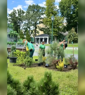 Новую красочную композицию создают в саду Шевченко: что высаживают 