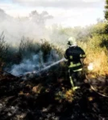 На Київщині чоловік загинув під час пожежі в екосистемі, постраждала літня жінка