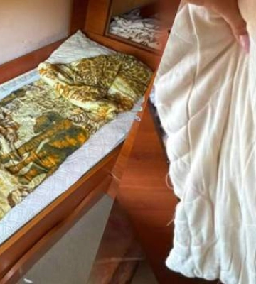 Омбудсман вимагає перевірити законність роботи табору "Артек Закарпаття"