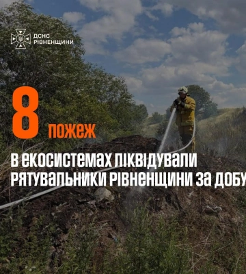 Суха трава, чагарники та післяжнивні залишки: на Рівненщині за добу сталося вісім пожеж