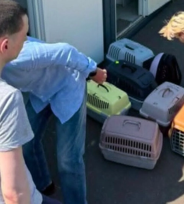 Родину з 14 котами прихистили в модульному містечку після ракетного удару по Львову