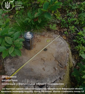 У лісництві на Волині незаконно зрубали дерев на понад 1,8 мільйона гривень