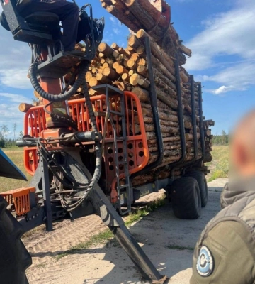 На Київщині активізувалися браконьєри: незаконно рубають та вивозять дерева (ФОТО)