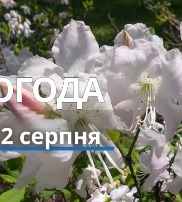 Якою буде погода у Харкові та області 2 серпня