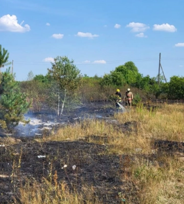 На Волині за добу сталося чотири пожежі в екосистемах: горіли сміття, суха трава та пшениця