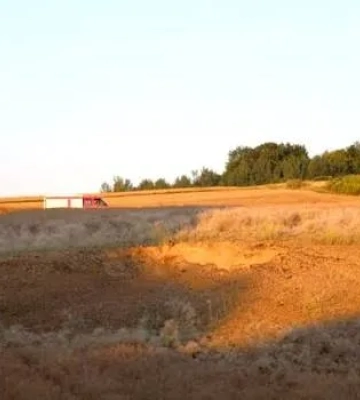 У Польщі знову шукають уламок російської ракети