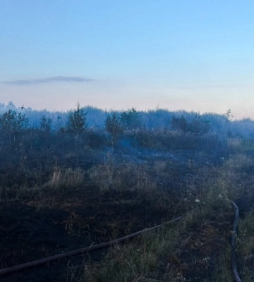 На Волині майже добу гасили пожежу торфу: вогонь охопив пів гектара
