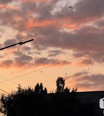 До +37°С: якою буде погода у Кривому Розі в перший тиждень серпня