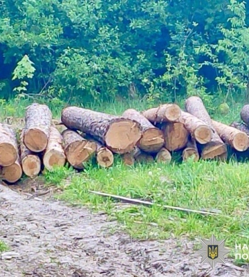Селянину з Волині загрожувало п'ять років тюрми через крадіжку колод