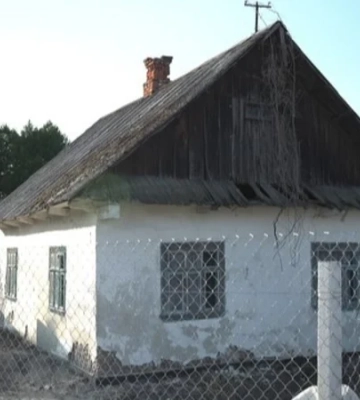 «То так тільки в Інстаграмі воно все гарно». На Рівненщині подружжя придбало й відновлює майже 100-річний будинок на хуторі — фото