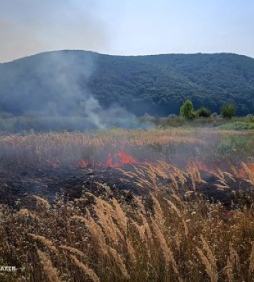 За вихідні на Закарпатті вигоріло 8 га сухої трави