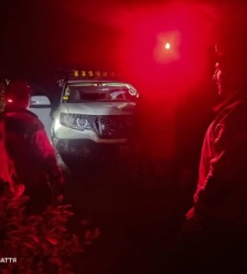 Пішов по гриби й зник: на Закарпатті рятувальники всю ніч шукали чоловіка в горах