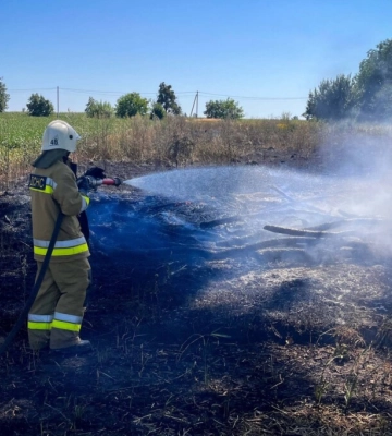 На Київщині за добу сталося понад 30 пожеж в екосистемах: ДСНС попередила про небезпеку