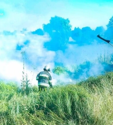 Понад 30 займань за добу. На Київщині вирують пожежі через спеку та посуху