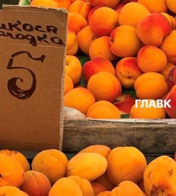 Де у Києві проходитимуть продуктові ярмарки 4-9 серпня (адреси)