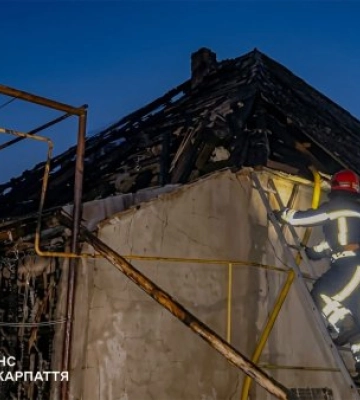 Поки господиня була за кілька метрів від дому: на Закарпатті пожежа ледь не знищила цілу оселю