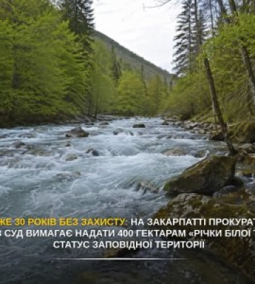 Прокуратура вимагає надати річці Біла Тиса на Рахівщині статус заповідної території