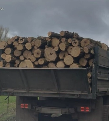 На Дніпропетровщині судитимуть «чорних лісорубів», які завдали державі майже 3 млн грн збитків