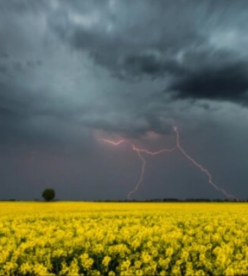 Перший рівень небезпеки через грози в Києві: можливі перебої зі світлом до кінця доби