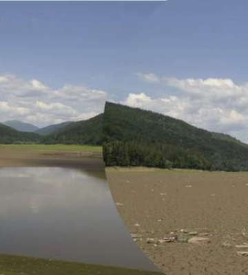 Тепер тут пасуться корови: куди зникла вода із "Закарпатського моря"