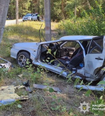 На Житомирщині у ДТП постраждали літні водій та пасажирка легковика