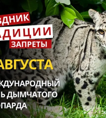 4 августа: какой сегодня праздник, приметы и запреты