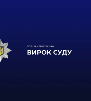 На Чернігівщині чоловіка судитимуть за вбивство людини сокирою