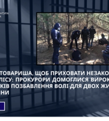 Вбили товарища, щоб приховати незаконну вирубку лісу - на Сумщині засуджено злочинців