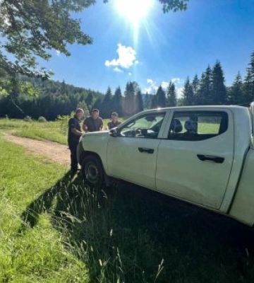 Спека до +40 °C та червоний рівень пожежної небезпеки: Карпатські ліси беруть під цілодобову охорону