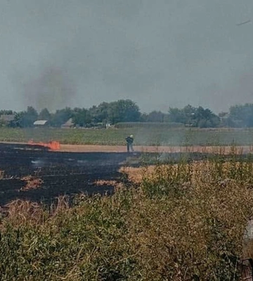 На вигорілому полі на Київщині знайшли тіло пенсіонера (ФОТО)