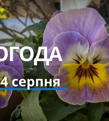 Погода у Харкові на сьогодні, 4 серпня