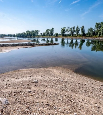 В Украине маловодье на реках на фоне жары - раскрыли, где рекордно низкие уровни