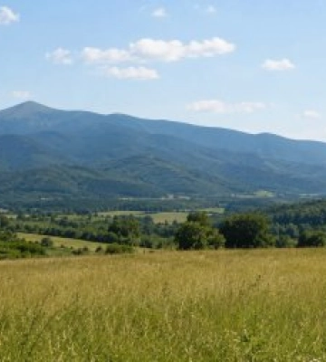 На Закарпатті через багатотисячний борг можуть забрати понад 25 гектарів землі: прокуратура звернулася до суду