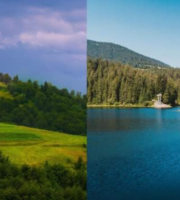 Літо без виснажливої спеки: топ 4 напрямки для відпочинку серед природи в Україні