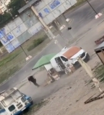 Показывал, что в руках овощи: выживший после атаки fpv-дрона в Херсоне вышел на связь