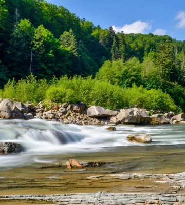 Водність річок на Закарпатті впала до чверті від норми