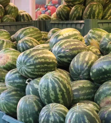 Почали возити зерновозами, з початку місяця кавуни вже втратили 25% своєї вартості
