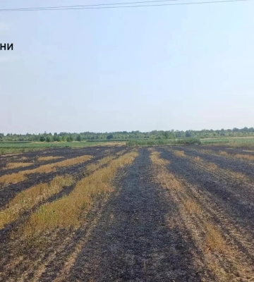 На Прикарпатті серед палаючої в полі трави рятувальники виявили тіло людини, - ДСНС