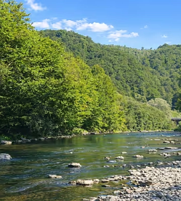 Водність річок на Закарпатті впала до чверті від норми
