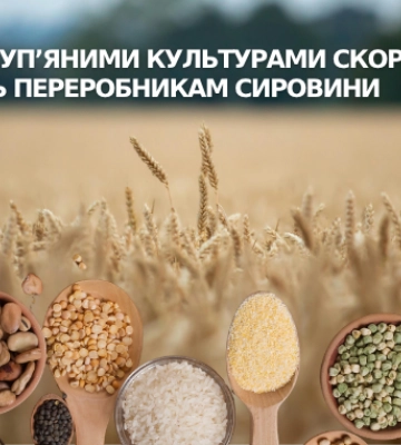 Площі під круп’яними культурами скорочуються: чи вистачить переробникам сировини