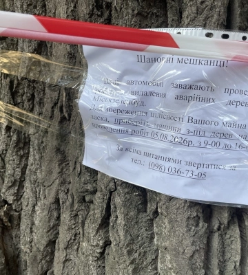 "Приберіть машини біля дерев": у Дніпрі попередили про проведення робіт