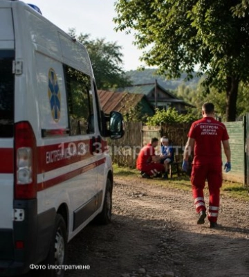 На Мукачівщині кінь травмував 8-річну дитину: хлопчик у лікарні