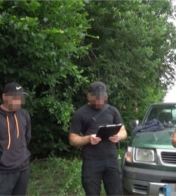На Тернопільщині викрили групу, яка вирубала у заповіднику дерев на понад 6 млн грн